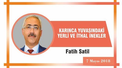KARINCA YUVASINDAKİ YERLİ VE İTHAL İNEKLER