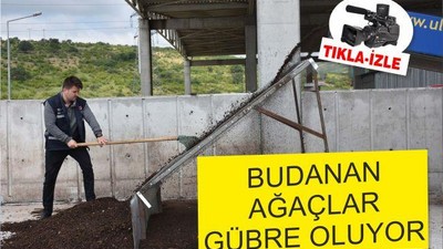 Budanan ağaçlar, çimler, sebze ve meyve atıkları organik gübre oluyor
