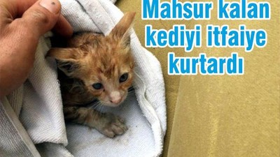 MAHSUR KALAN KEDİYİ İTFAİYE KURTARDI