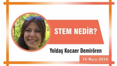 STEM NEDİR?