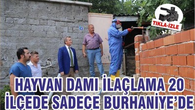 HAYVAN DAMI İLAÇLAMA 20 İLÇEDE SADECE BURHANİYE’DE