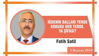 İğdenin Dalları Yerde, Kokusu Her Yerde. Ya Şifası?