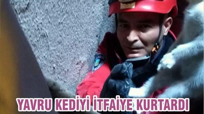 YAVRU KEDİYİ İTFAİYE KURTARDI