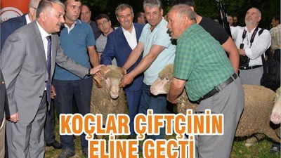 KOÇ’LAR ÇİFTÇİ’NİN ELİNE GEÇTİ