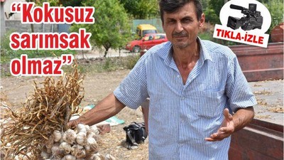 Kokusuz sarımsak olmaz
