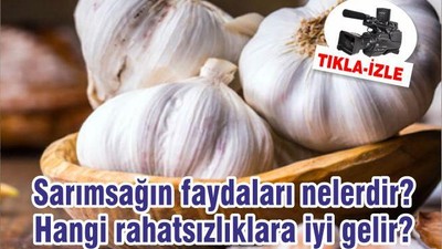 Sarımsağın faydaları nelerdir? Hangi rahatsızlıklara iyi gelir?