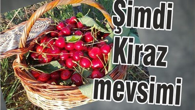 ŞİMDİ KİRAZ MEVSİMİ