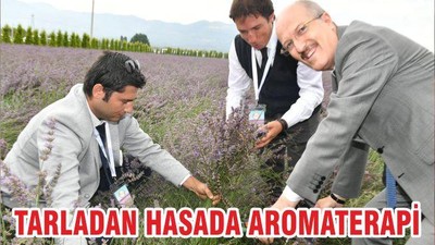 TARLADAN HASADA AROMATERAPİ