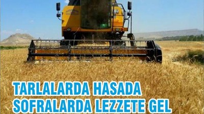 TARLALARDA HASADA SOFRALARDA LEZZETE GEL
