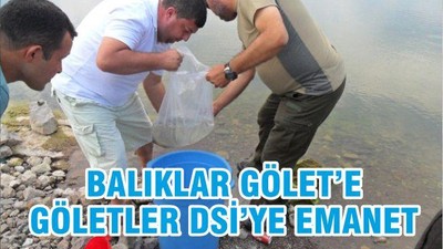 BALIKLAR GÖLET’E GÖLETLER DSİ’YE EMANET