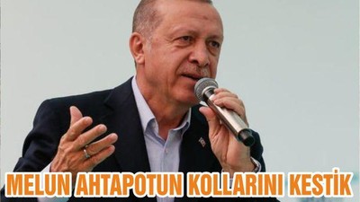 MELUN AHTAPOTUN KOLLARINI KESTİK