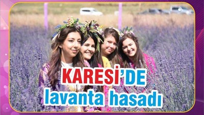 KARESİ’DE LAVANTA HASADI