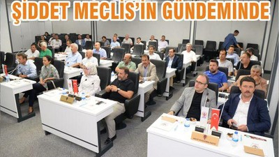 ŞİDDET MECLİS’İN GÜNDEMİNDE