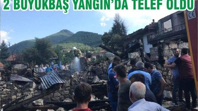 2 BÜYÜKBAŞ YANGIN’DA TELEF OLDU