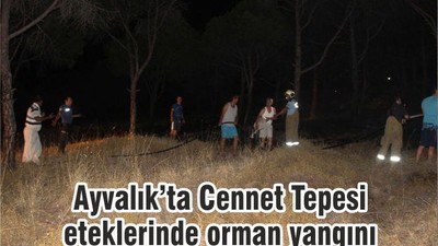 Ayvalık’ta Cennet Tepesi eteklerinde orman yangını