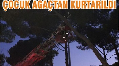 ÇOCUK AĞAÇTAN KURTARILDI