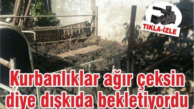 Kurbanlıklar ağır çeksin diye dışkıda bekletiyordu