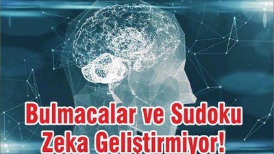 Bulmacalar ve Sudoku Zeka Geliştirmiyor!