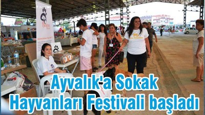 Ayvalık'a Sokak Hayvanları Festivali başladı