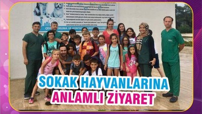SOKAK HAYVANLARINA ANLAMLI ZİYARET
