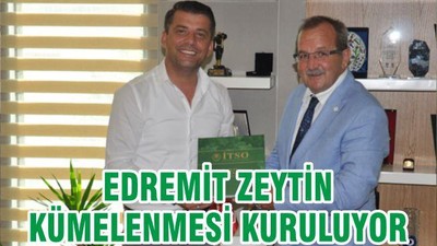 EDREMİT ZEYTİN KÜMELENMESİ KURULUYOR