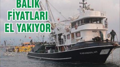 BALIK FİYATLARI EL YAKIYOR