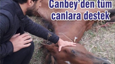 Canbey’den tüm canlara destek