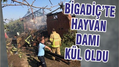 BİGADİÇ’TE HAYVAN DAMI KÜL OLDU