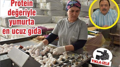 Protein değeriyle yumurta en ucuz gıda