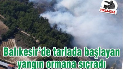 Balıkesir’de tarlada başlayan yangın ormana sıçradı