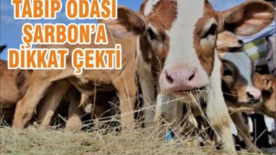 TABİP ODASI ŞARBON’A DİKKAT ÇEKTİ