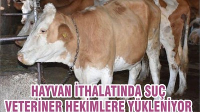 HAYVAN İTHALATINDA SUÇ VETERİNER HEKİMLERE YÜKLENİYOR
