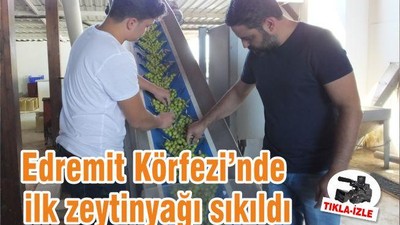 Edremit Körfezi’nde ilk zeytinyağı sıkıldı