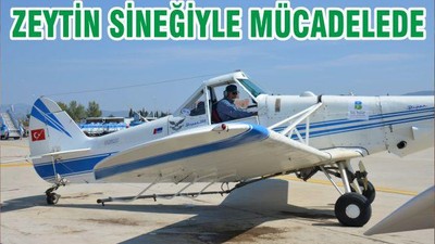 ZEYTİN SİNEĞİYLE MÜCADELEDE