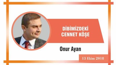 DİBİMİZDEKİ CENNET KÖŞE KAPIDAĞ YARIMADASINDA SAFARİ