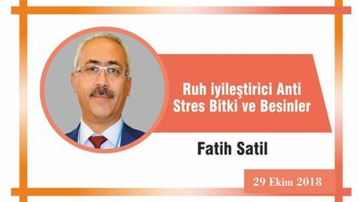 Ruh iyileştirici Anti Stres Bitki ve Besinler