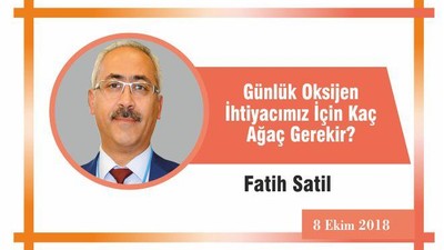 Günlük Oksijen İhtiyacımız İçin Kaç Ağaç Gerekir?