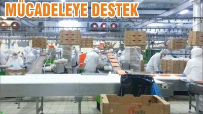 MÜCADELEYE DESTEK