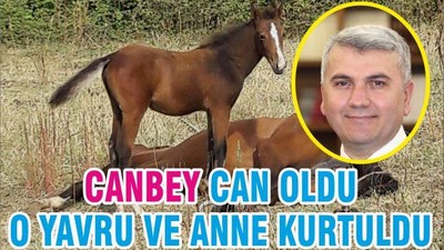 CANBEY CAN OLDU O YAVRU VE ANNE KURTULDU