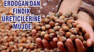 ERDOĞAN'DAN FINDIK ÜRETİCİLERİNE MÜJDE