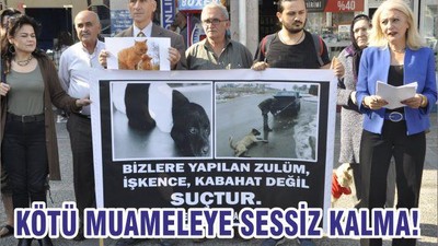 KÖTÜ MUAMELEYE SESSİZ KALMA!