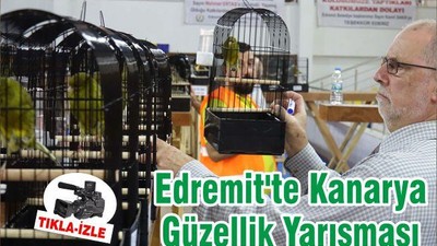 Edremit'te Kanarya Güzellik Yarışması
