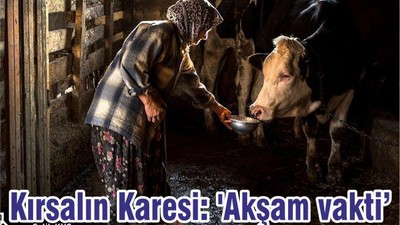 Kırsalın Karesi: 'Akşam vakti'