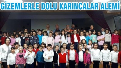 GİZEMLERLE DOLU KARINCALAR ALEMİ