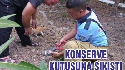 KONSERVE KUTUSUNA SIKIŞTI