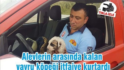 Alevlerin arasında kalan yavru köpeği itfaiye kurtardı