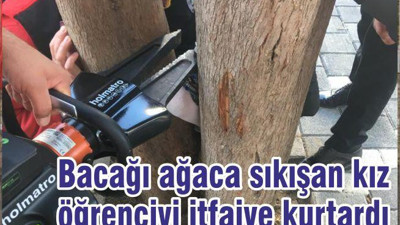 Bacağı ağaca sıkışan kız öğrenciyi itfaiye kurtardı