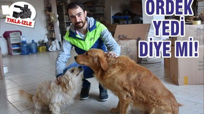 ÖRDEK YEDİ DİYE Mİ!