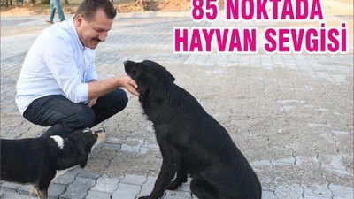 85 NOKTADA HAYVAN SEVGİSİ
