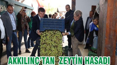 AKKILINÇ’TAN ZEYTİN HASADI